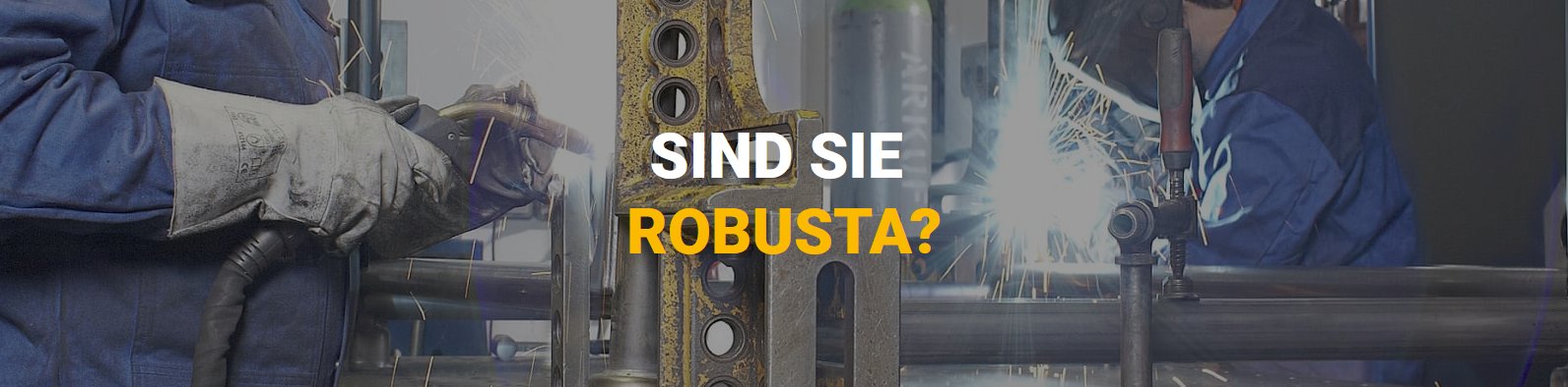 ROBUSTA-GAUKEL GmbH & Co. KG
